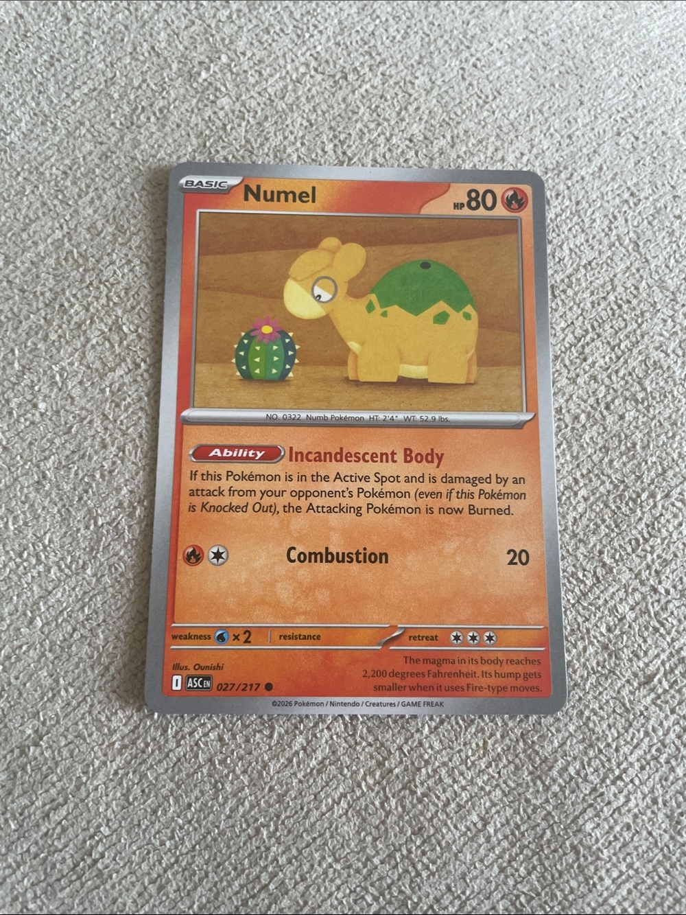 Numel Pokemon Trading Card